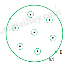 H19.10a - bài 19 vật lý 11