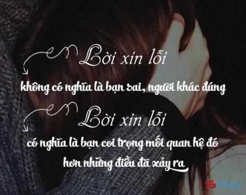 Stt suy ngẫm về lời xin lỗi và những câu xin lỗi chân thành nhất ...