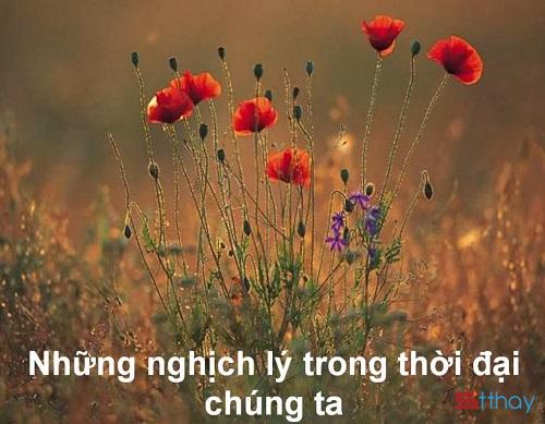 Tổng hợp những stt về bản chất thật sự, nghịch lý của cuộc đời