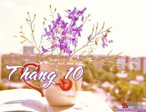 Những status thơ tình tháng mười xao xuyến lòng người